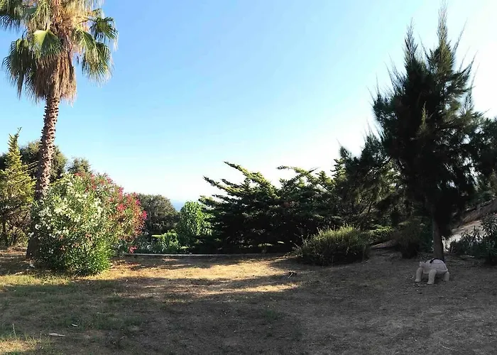 Rez De Bordure Appartement *